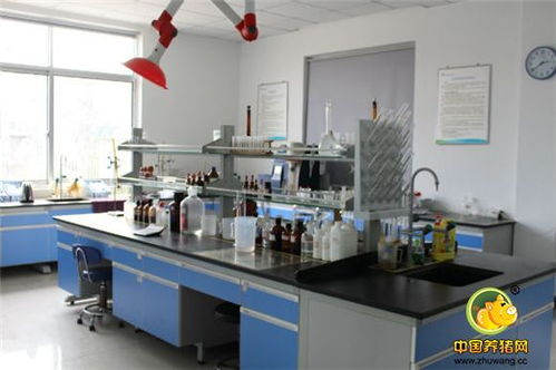 标杆工厂再创辉煌——浙江播恩预混料教槽料产销量破10000吨庆典隆重举行